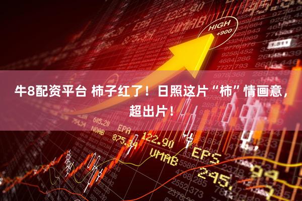 牛8配资平台 柿子红了！日照这片“柿”情画意，超出片！